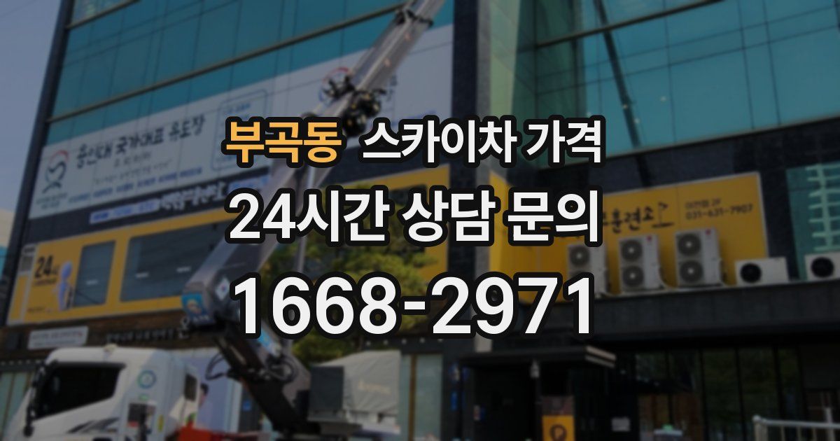 부곡동 스카이차 가격