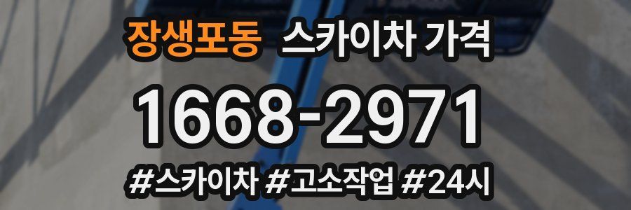 장생포동 스카이차 가격