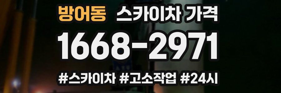 방어동 스카이차 가격