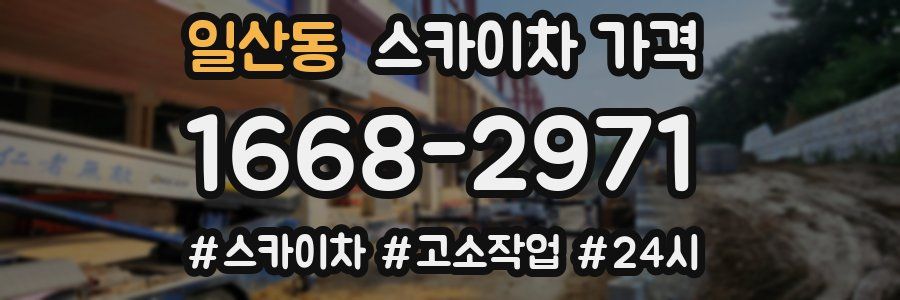 일산동 스카이차 가격