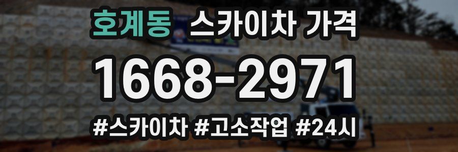 호계동 스카이차 가격