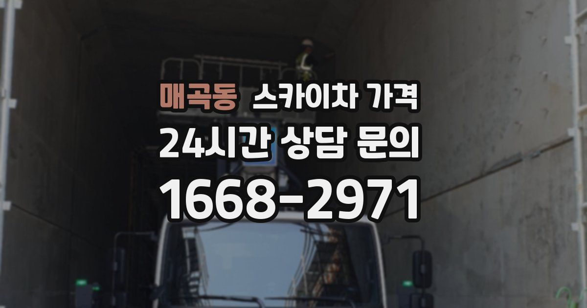 매곡동 스카이차 가격