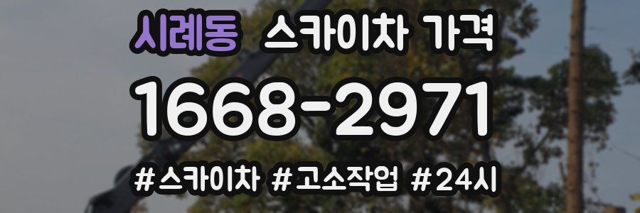 시례동 스카이차 가격