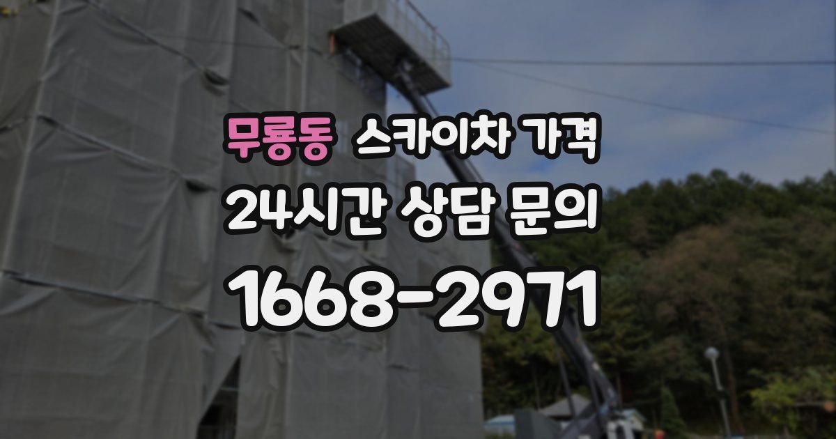 무룡동 스카이차 가격