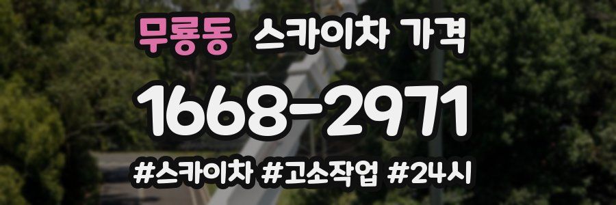 무룡동 스카이차 가격