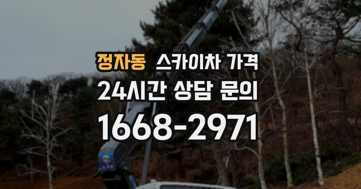 정자동 스카이차 가격