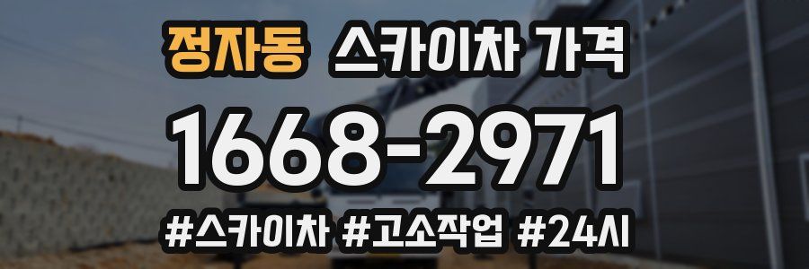 정자동 스카이차 가격