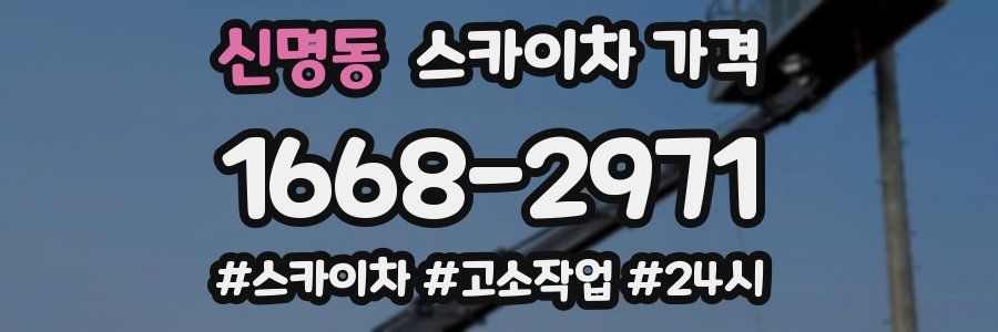 신명동 스카이차 가격