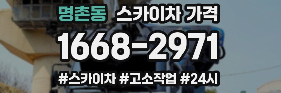 명촌동 스카이차 가격