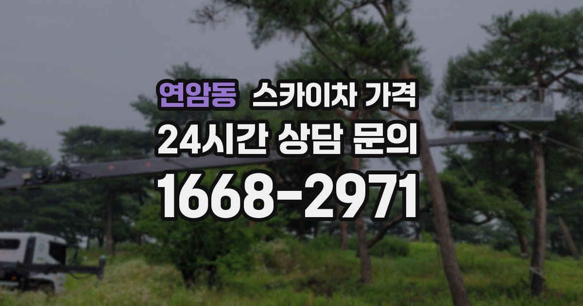 연암동 스카이차 가격