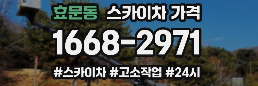 효문동 스카이차 가격