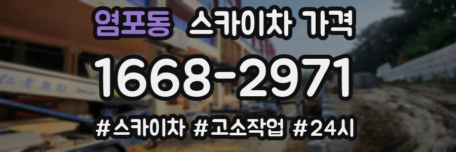 염포동 스카이차 가격