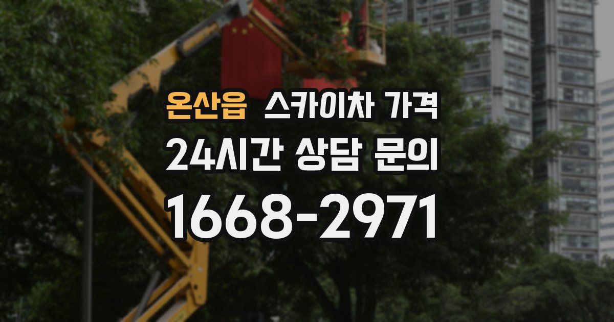 온산읍 스카이차 가격