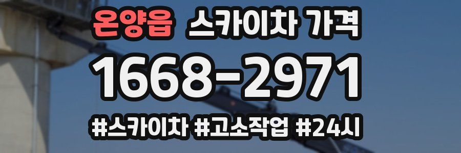 온양읍 스카이차 가격