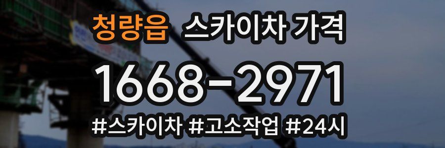 청량읍 스카이차 가격