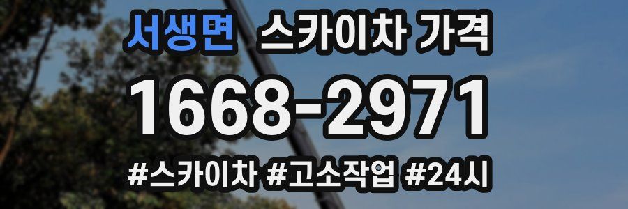 서생면 스카이차 가격