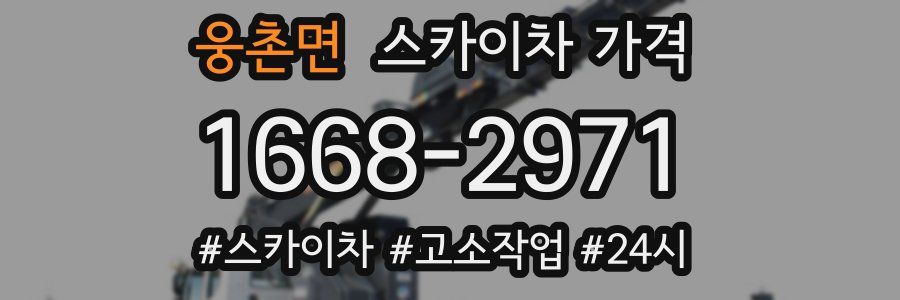 웅촌면 스카이차 가격