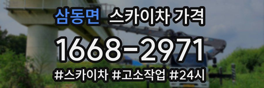 삼동면 스카이차 가격