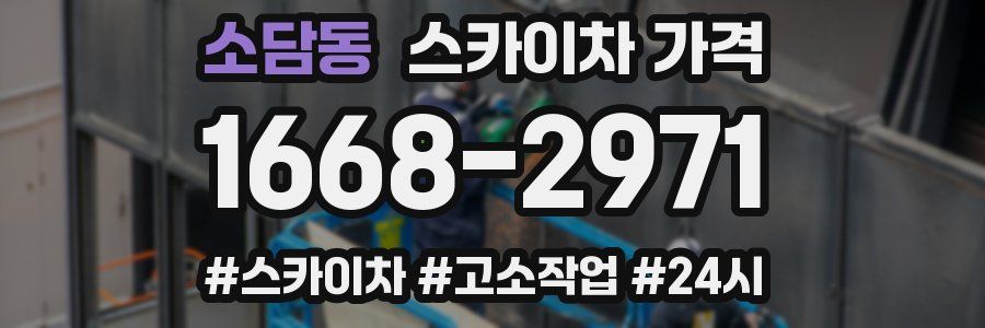 소담동 스카이차 가격