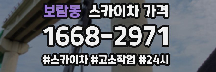 보람동 스카이차 가격