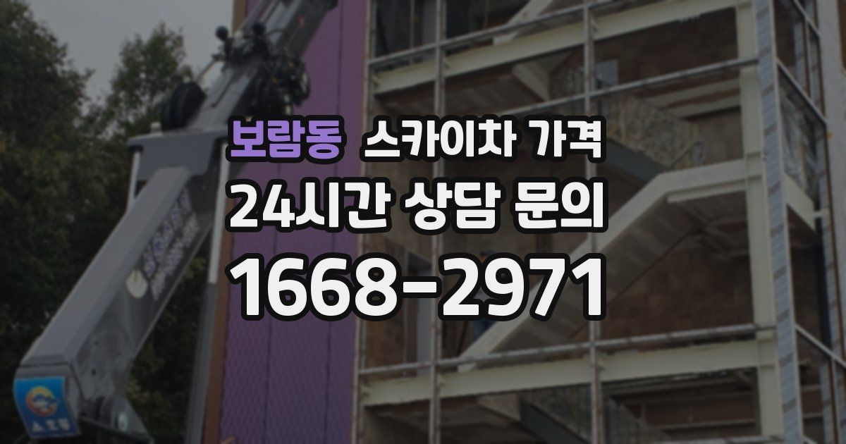 보람동 스카이차 가격