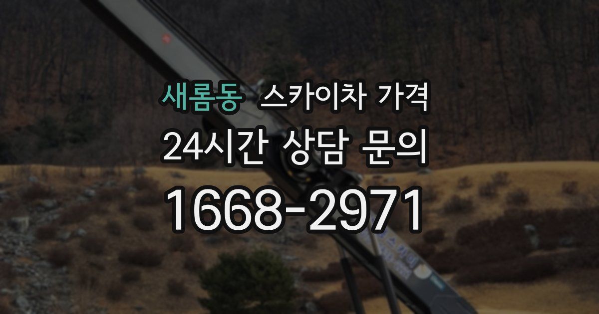 새롬동 스카이차 가격