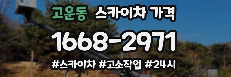 고운동 스카이차 가격