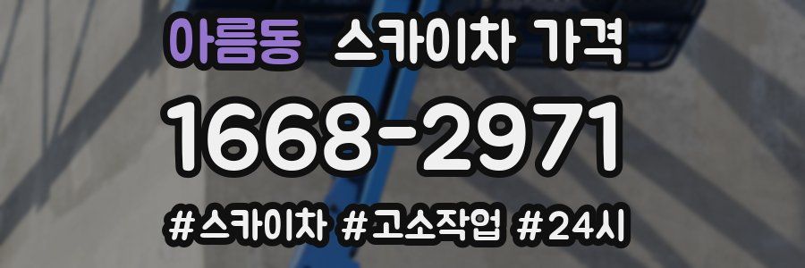 아름동 스카이차 가격