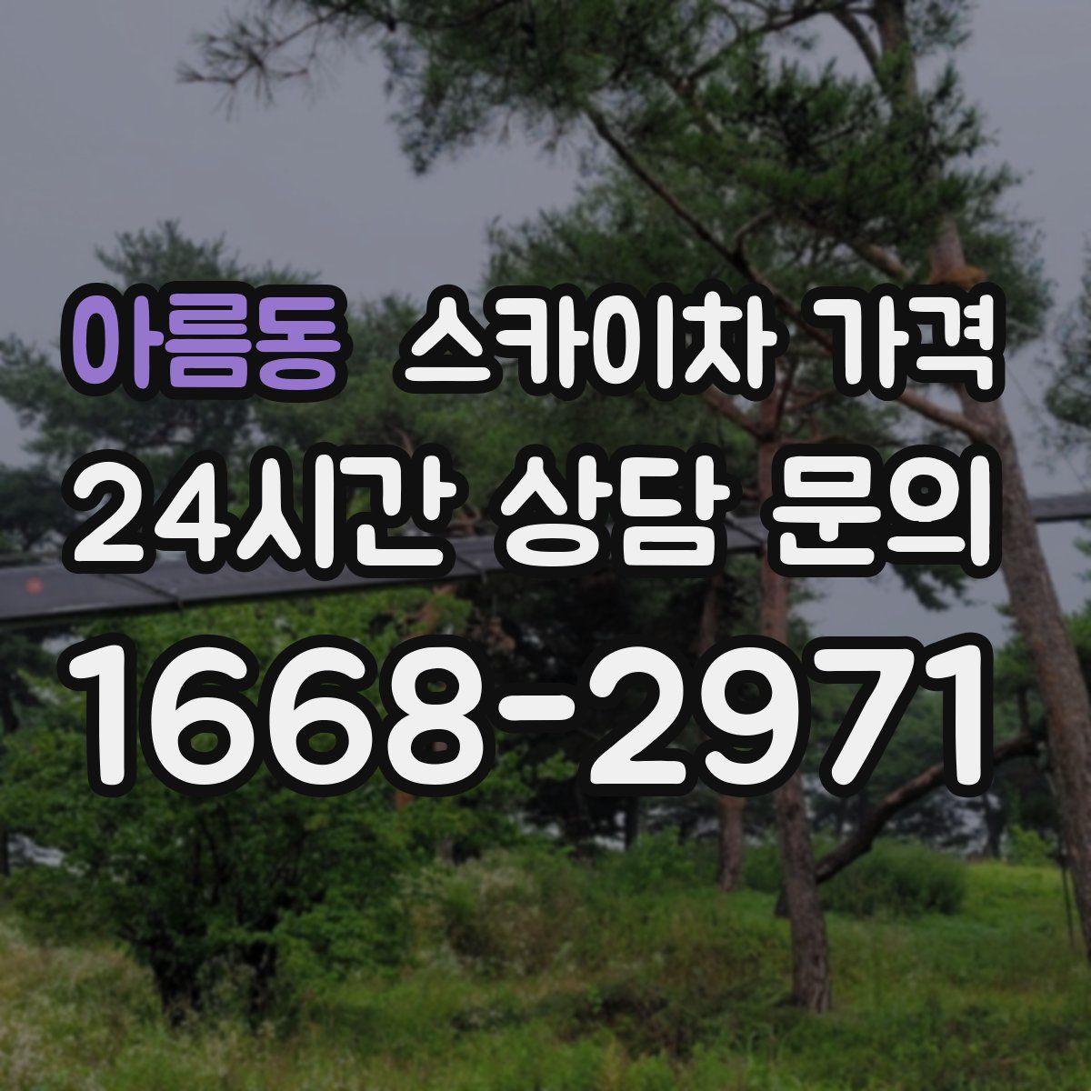 아름동 스카이차 가격