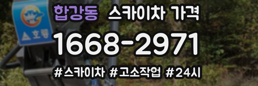 합강동 스카이차 가격