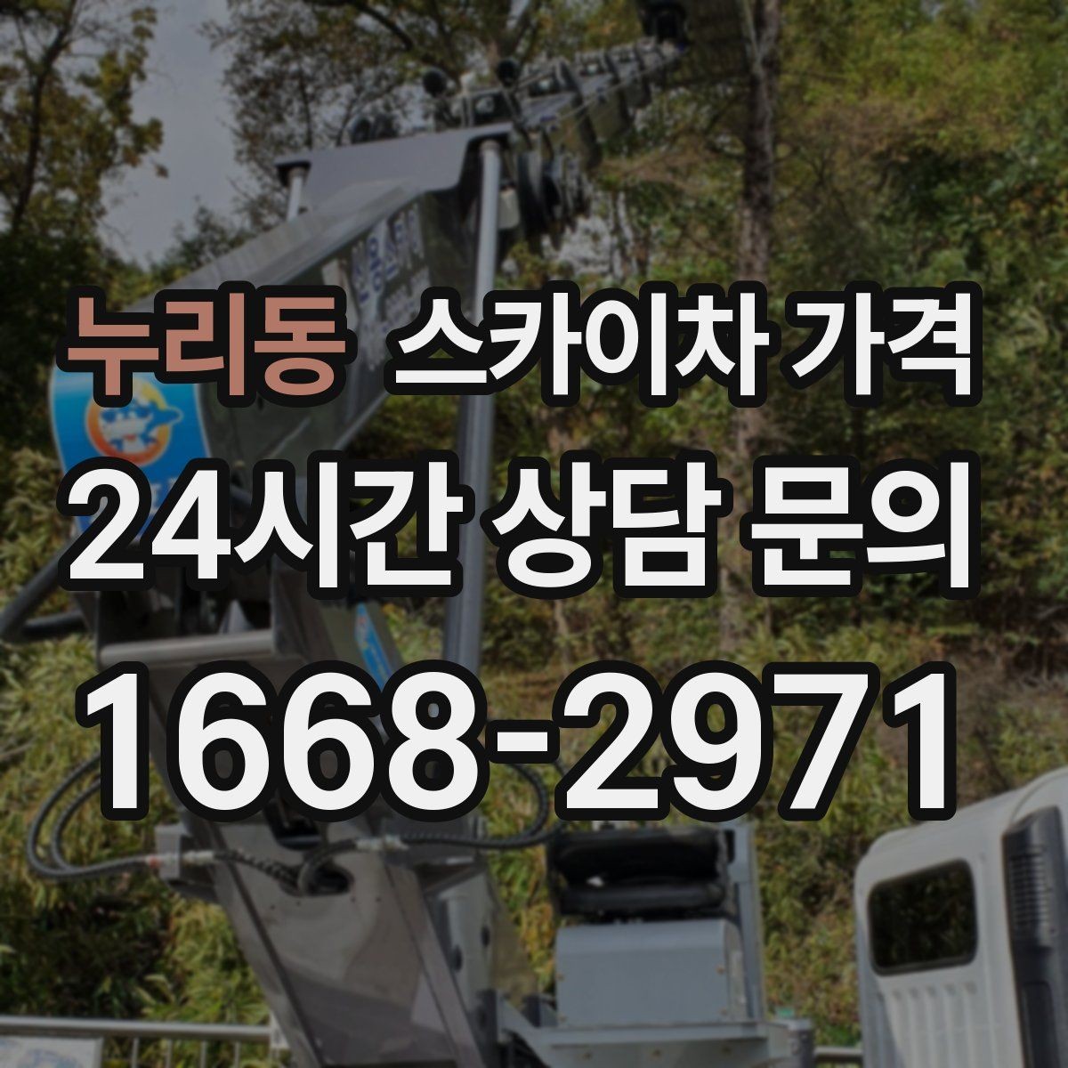 누리동 스카이차 가격 정확한 견적을 받는 가장 현실적인 방법