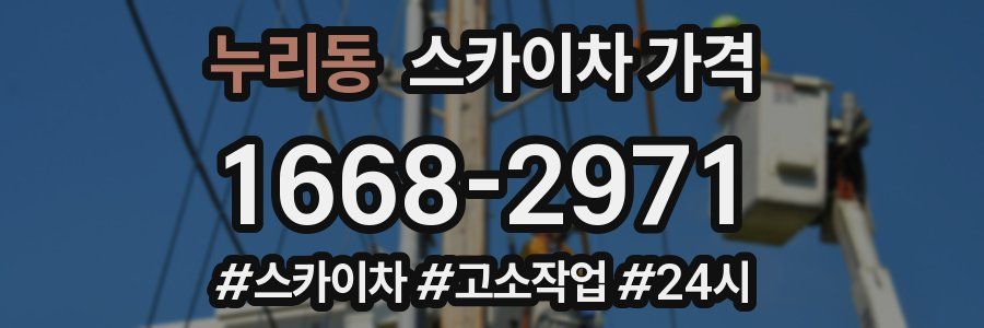 누리동 스카이차 가격