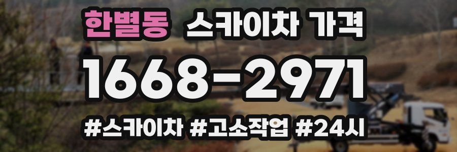 한별동 스카이차 가격