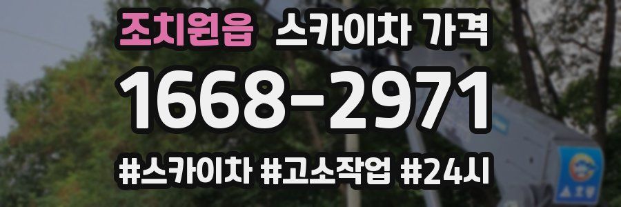 조치원읍 스카이차 가격