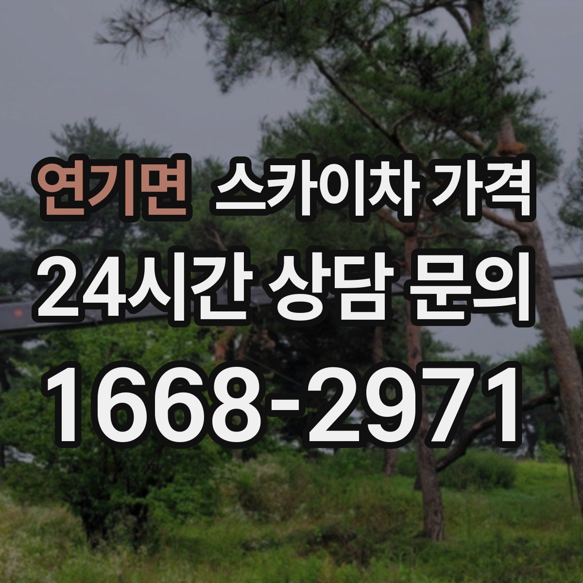 연기면 스카이차 가격