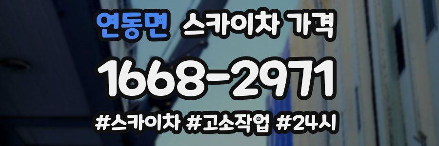 연동면 스카이차 가격