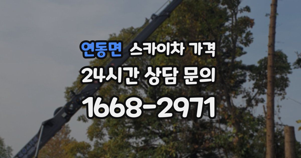 연동면 스카이차 가격