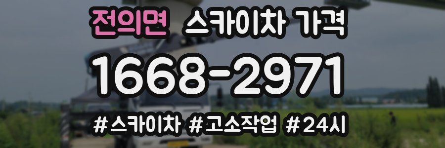 전의면 스카이차 가격