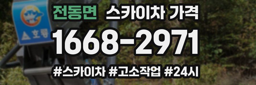 전동면 스카이차 가격