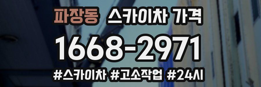 파장동 스카이차 가격