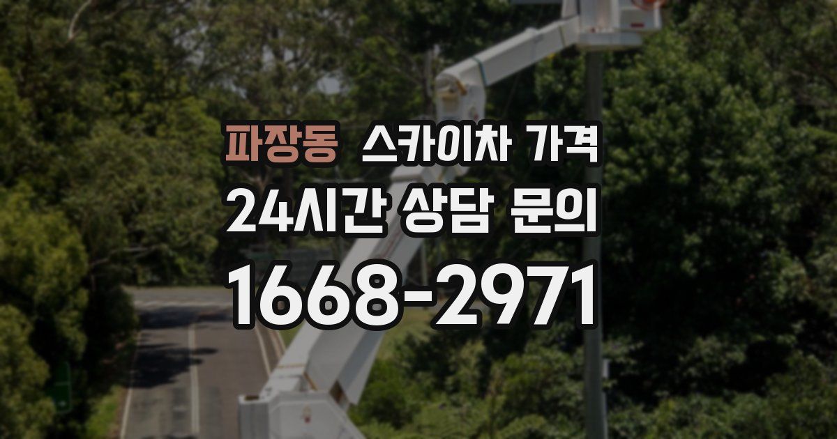 파장동 스카이차 가격