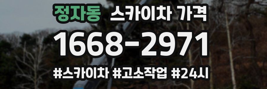 정자동 스카이차 가격