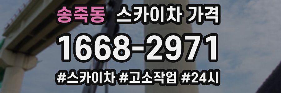 송죽동 스카이차 가격