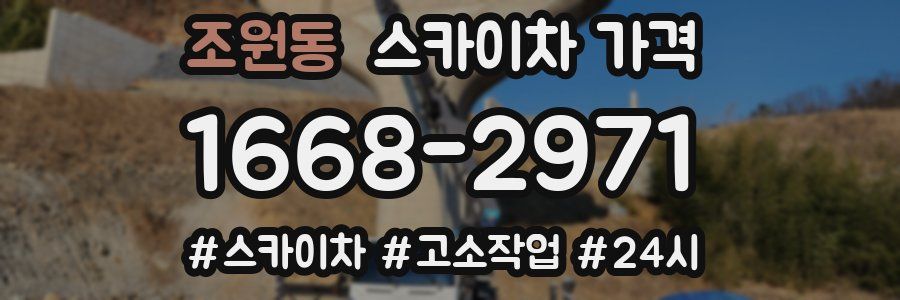 조원동 스카이차 가격