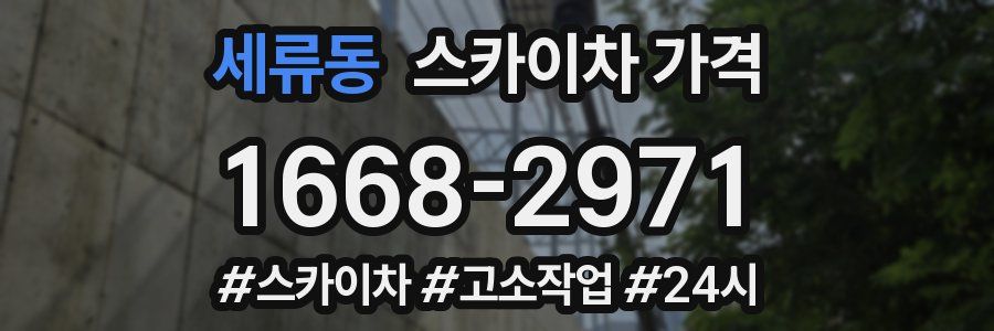 세류동 스카이차 가격