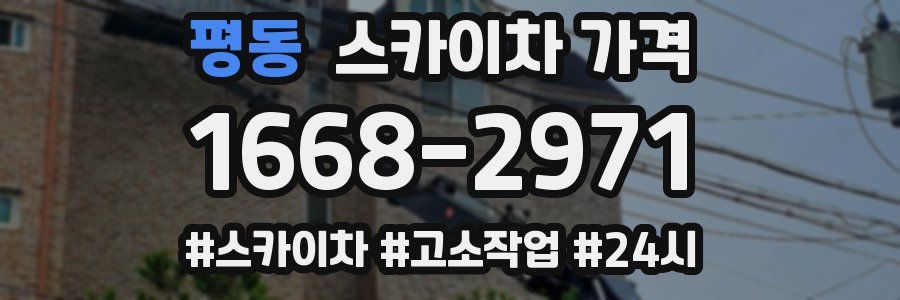 평동 스카이차 가격