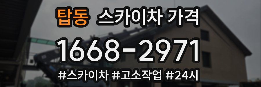 탑동 스카이차 가격