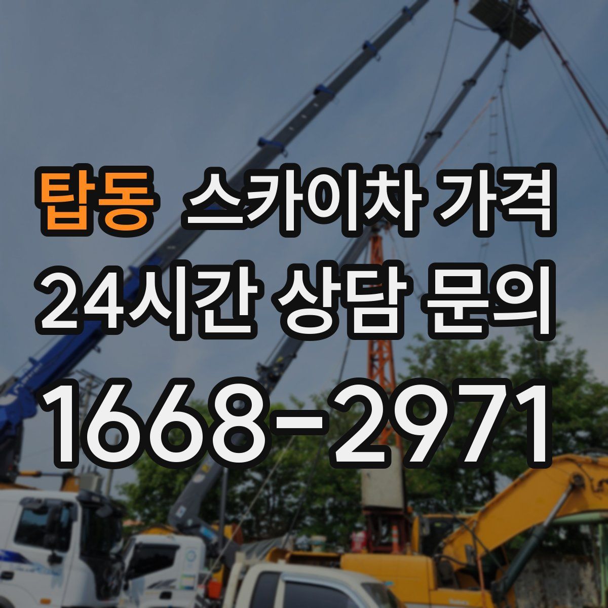 탑동 스카이차 가격