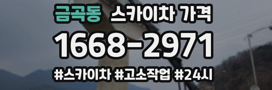 금곡동 스카이차 가격