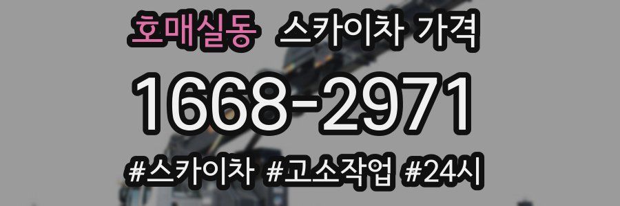 호매실동 스카이차 가격